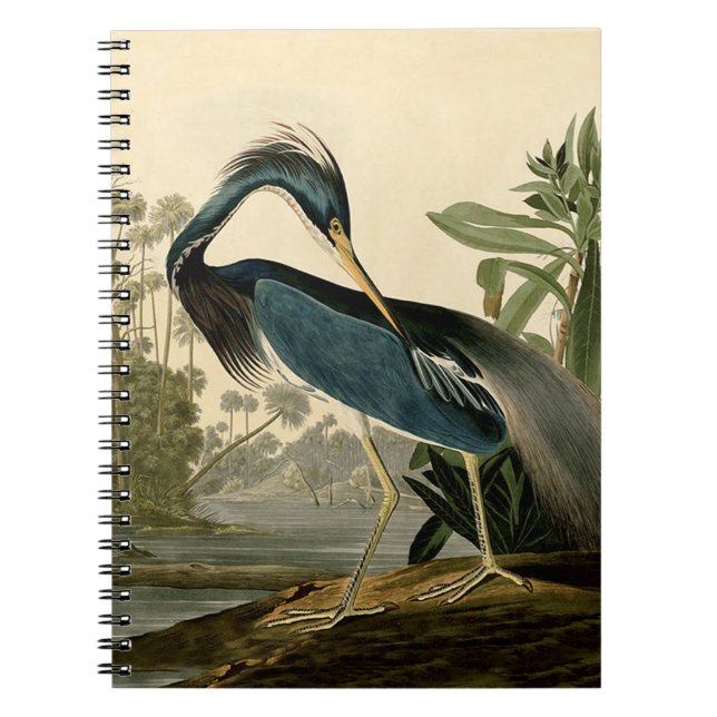 Audubon Louisiana Heron Birds America Art Notebook (Front)