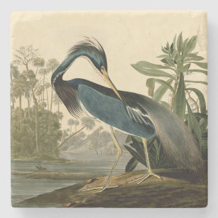 Audubon Louisiana Heron Birds America Art Stone Coaster