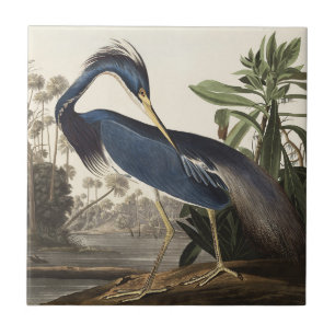 Audubon Louisiana Heron Birds of America Art Print Ceramic Tile