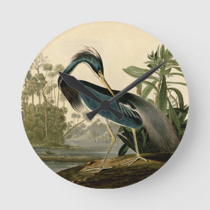 Audubon Louisiana Heron Round Clock