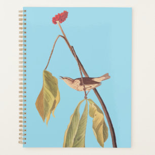 Audubon Louisiana Water Thrush Bird with Flower Planner
