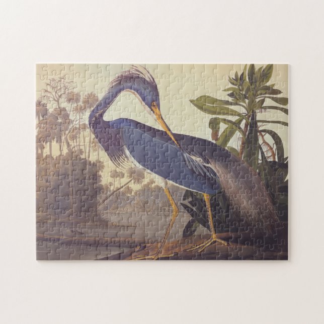 Audubon Lousiana Heron on Coastal Marsh Land Jigsaw Puzzle (Horizontal)