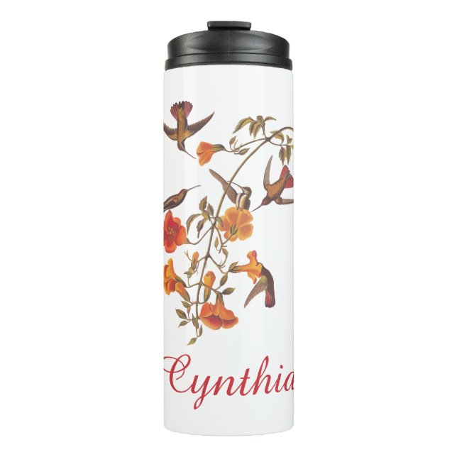 Audubon Mango Hummingbird in Gem Colours Thermal Tumbler (Front)