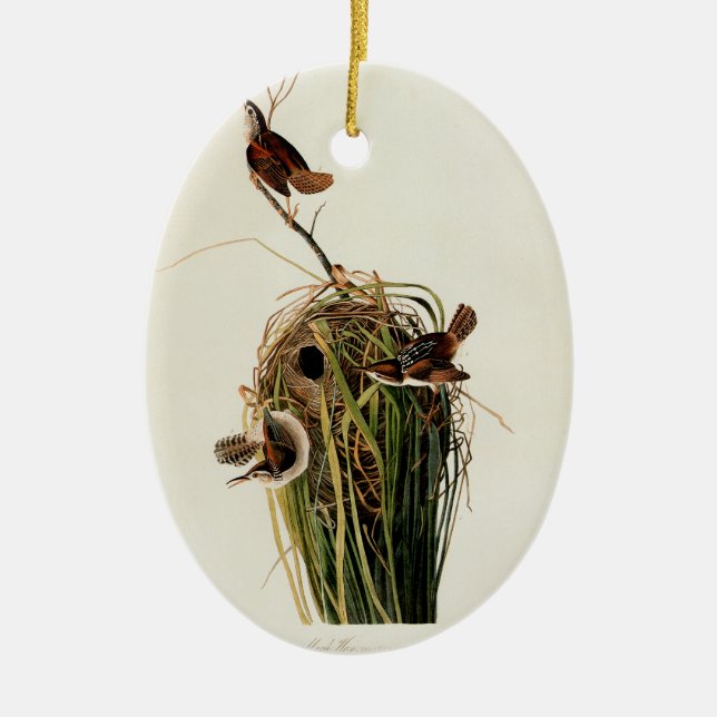 Audubon Marsh Wren Bird Art Ceramic Tree Decoration (Front)