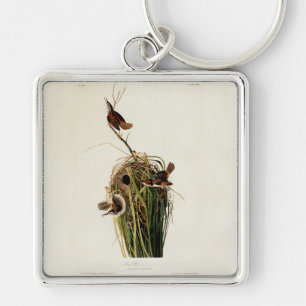 Audubon Marsh Wren Bird Art Key Ring