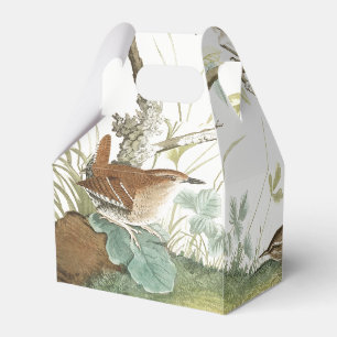 Audubon Nest Wren Birds Wildlife Favour Box