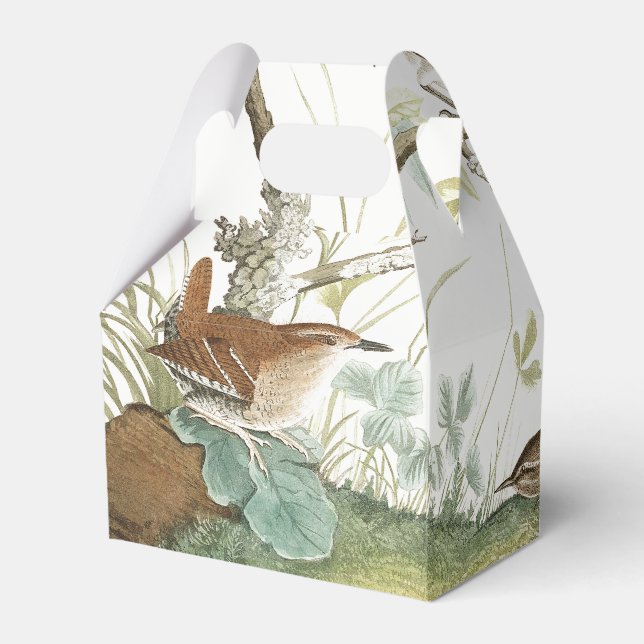 Audubon Nest Wren Birds Wildlife Favour Box (Back Side)