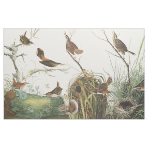Audubon Nests Wren Birds Wildlife Animal Fabric