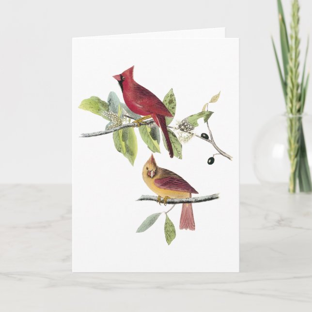 Audubon Northern Cardinal Card (Front)