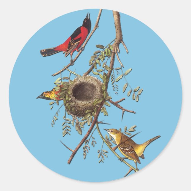 Audubon Orchard Oriole Bird Art Stickers (Front)