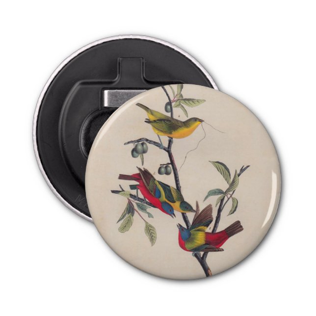 Audubon Painted Bunting Bird Wildlife Bottle Opener (Front)