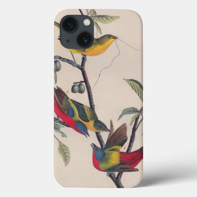 Audubon Painted Bunting Bird Wildlife Case-Mate iPhone Case (Back)