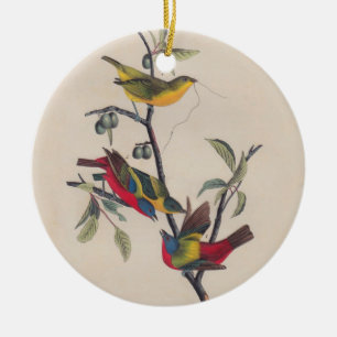 Audubon Painted Bunting Bird Wildlife Ceramic Ornament