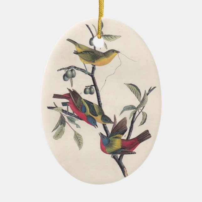 Audubon Painted Bunting Bird Wildlife Ceramic Tree Decoration (Front)