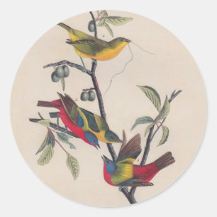 Audubon Painted Bunting Bird Wildlife Classic Round Sticker