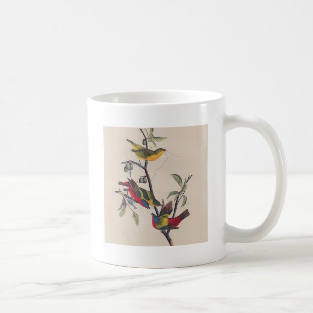 Audubon Painted Bunting Bird Wildlife Coffee Mug (Right)