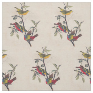 Audubon Painted Bunting Bird Wildlife Fabric