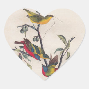 Audubon Painted Bunting Bird Wildlife Heart Sticker