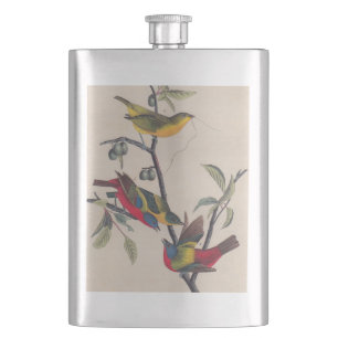 Audubon Painted Bunting Bird Wildlife Hip Flask