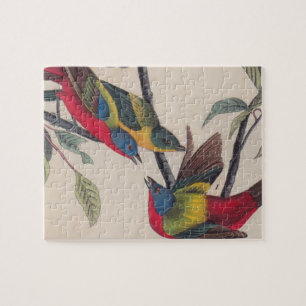 Audubon Painted Bunting Bird Wildlife Jigsaw Puzzle