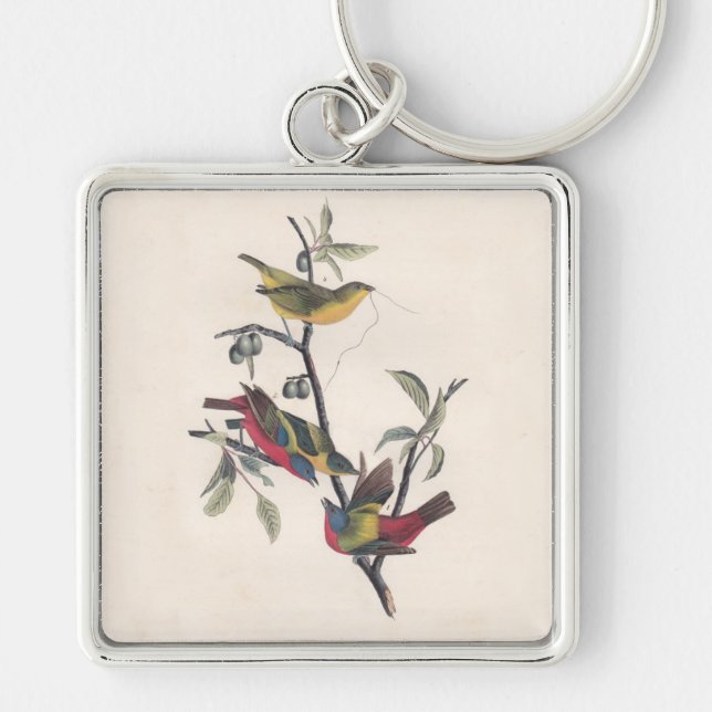 Audubon Painted Bunting Bird Wildlife Key Ring (Front)
