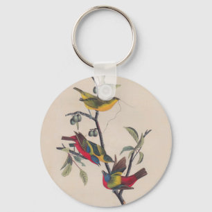 Audubon Painted Bunting Bird Wildlife Key Ring