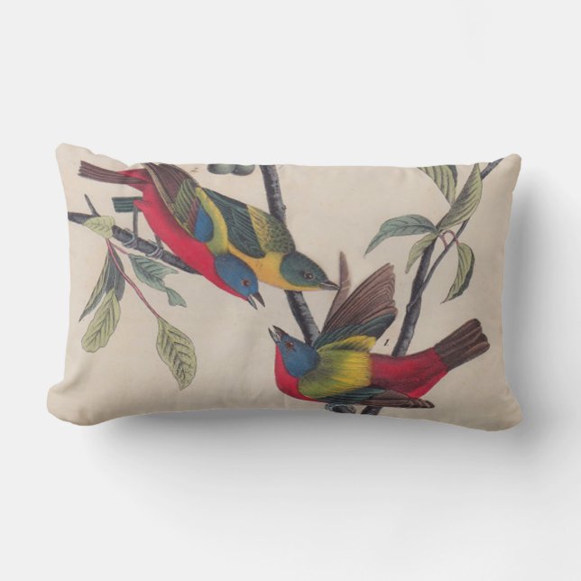 Audubon Painted Bunting Bird Wildlife Lumbar Cushion (Front)
