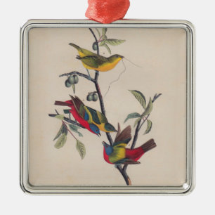 Audubon Painted Bunting Bird Wildlife Metal Ornament