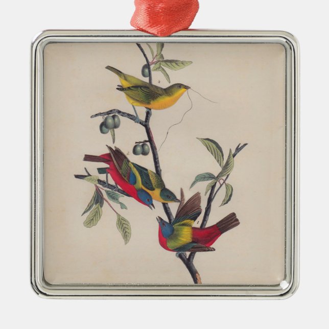 Audubon Painted Bunting Bird Wildlife Metal Ornament (Front)
