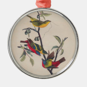 Audubon Painted Bunting Bird Wildlife Metal Tree Decoration