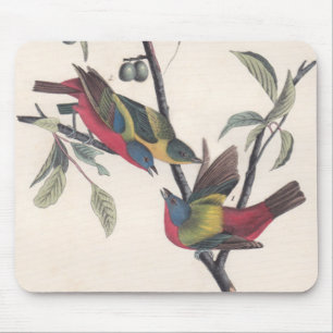 Audubon Painted Bunting Bird Wildlife Mouse Pad