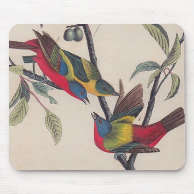 Audubon Painted Bunting Bird Wildlife Mouse Pad (Front)