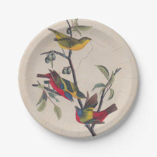 Audubon Painted Bunting Bird Wildlife Paper Plate