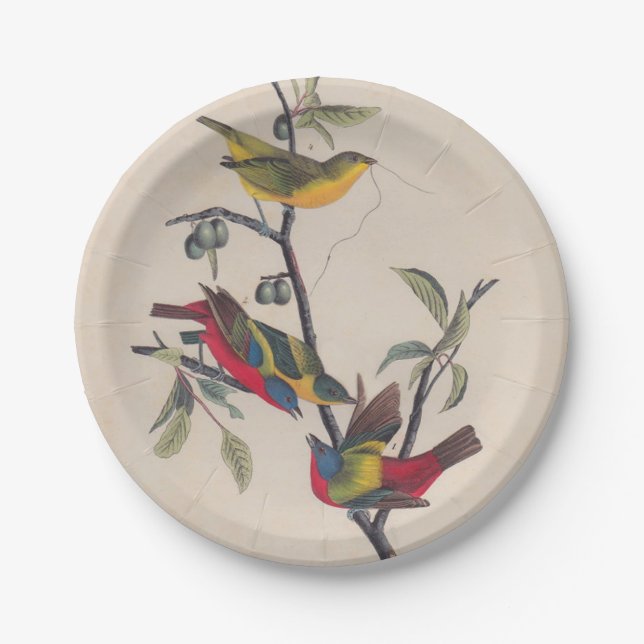 Audubon Painted Bunting Bird Wildlife Paper Plate (Front)