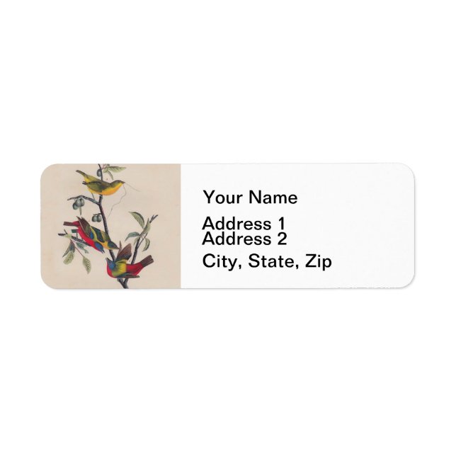 Audubon Painted Bunting Bird Wildlife Return Address Label (Front)