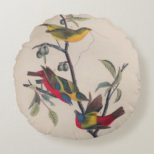 Audubon Painted Bunting Bird Wildlife Round Cushion (Front)