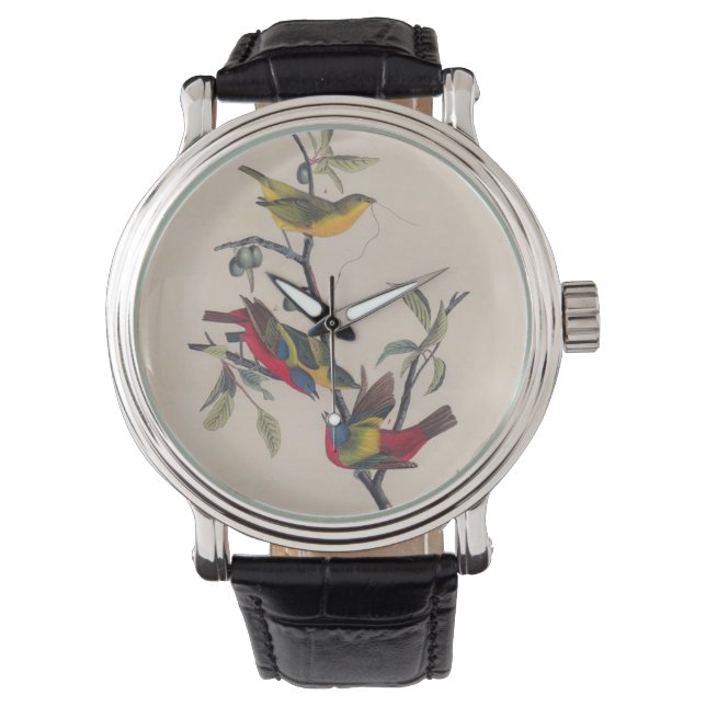 Audubon Painted Bunting Bird Wildlife Watch (Front)