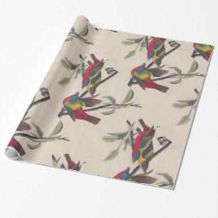 Audubon Painted Bunting Bird Wildlife Wrapping Paper