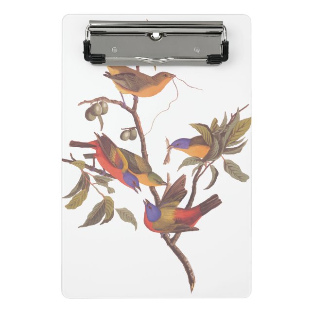 Audubon Painted Bunting Birds in a Cherokee Plum Mini Clipboard (Front)