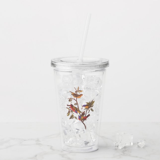 Audubon Painted Bunting Birds is Wild Plum Tree Acrylic Tumbler (Back Ice)