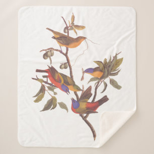 Audubon Painted Bunting Birds is Wild Plum Tree Sherpa Blanket