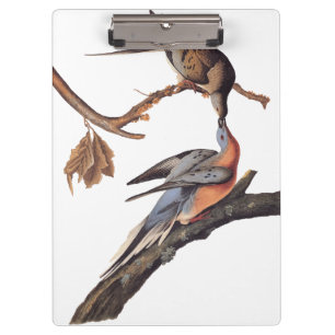 Audubon Pair of Kissing Passenger Pigeons Grocery Clipboard