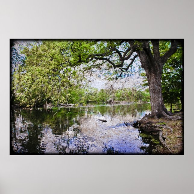 Audubon Park Poster (Front)