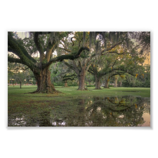 Audubon Park Rain Photo Print (Front)