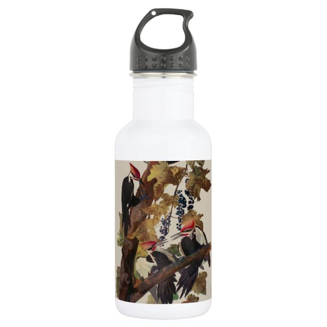 Audubon Pileated Woodpecker Bird Painting 532 Ml Water Bottle (Front)