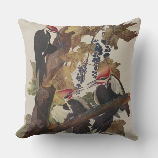 Audubon Pileated Woodpecker Bird Painting Cushion (Front)