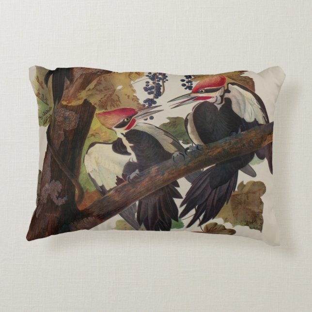 Audubon Pileated Woodpecker Bird Painting Decorative Cushion (Back)