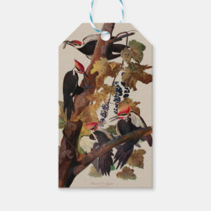 Audubon Pileated Woodpecker Bird Painting Gift Tags