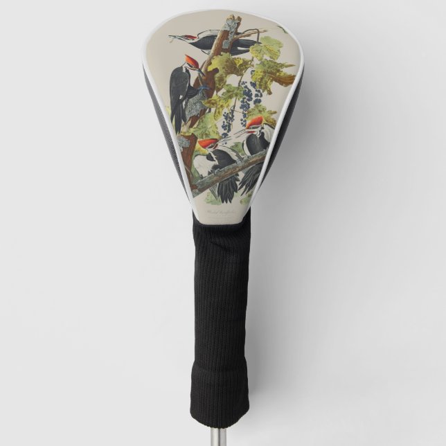 Audubon Pileated Woodpecker Bird Painting Golf Head Cover (Front)
