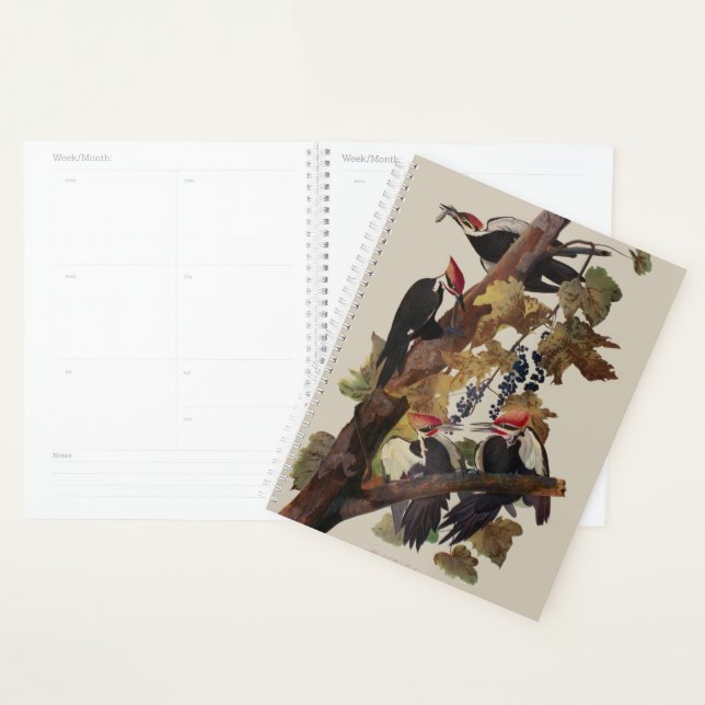Audubon Pileated Woodpecker Bird Painting Planner (Display)